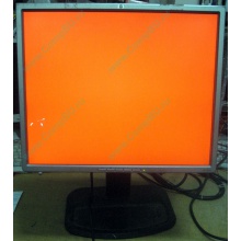 Монитор 19" TFT HP 1955 (DVI в Ростове-на-Дону, USB-хаб) "квадратный" (Ростов-на-Дону)