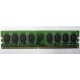 Модуль оперативной памяти 4096Mb DDR2 Patriot PSD24G8002 pc-6400 (800MHz)  (Ростов-на-Дону)