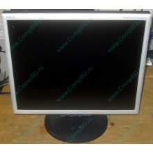 Монитор 17" TFT Nec MultiSync LCD 1770NX (Ростов-на-Дону)