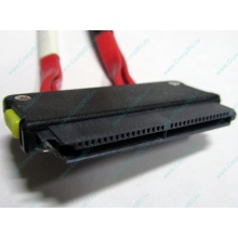 SATA-кабель для корзины HDD HP 451782-001 459190-001 для HP ML310 G5 (Ростов-на-Дону)