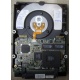 Жесткий диск 18.2Gb IBM Ultrastar DDYS-T18350 Ultra3 SCSI (Ростов-на-Дону)