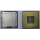 Процессор Intel Celeron D 336 (2.8GHz /256kb /533MHz) SL98W s.775 (Ростов-на-Дону)