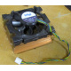 Intel D34088-001 s603 / s604 (Ростов-на-Дону)