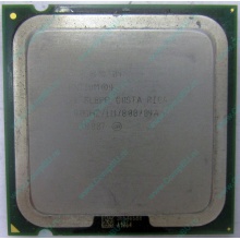 Процессор Intel Pentium-4 521 (2.8GHz /1Mb /800MHz /HT) SL8PP s.775 (Ростов-на-Дону)