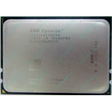 Процессор AMD Opteron 6128 (8x2.0GHz) OS6128WKT8EGO s.G34 (Ростов-на-Дону)