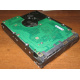 Жесткий диск 300Gb 15k Seagate Cheetach ST3300656SS 15K.6 Dell 9CH066-050 6G SAS (Ростов-на-Дону)