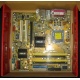 Материнская плата Asus P5L-VM 1394 s.775 (Ростов-на-Дону)